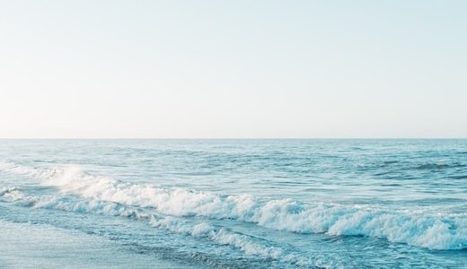 祇園生まれの祇園育ち、杉本彩が紹介する「達人の旅 冬の京都編」