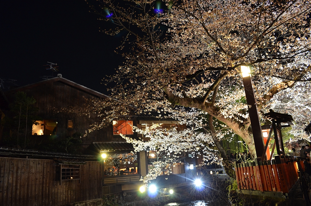 shirakawa-south-street