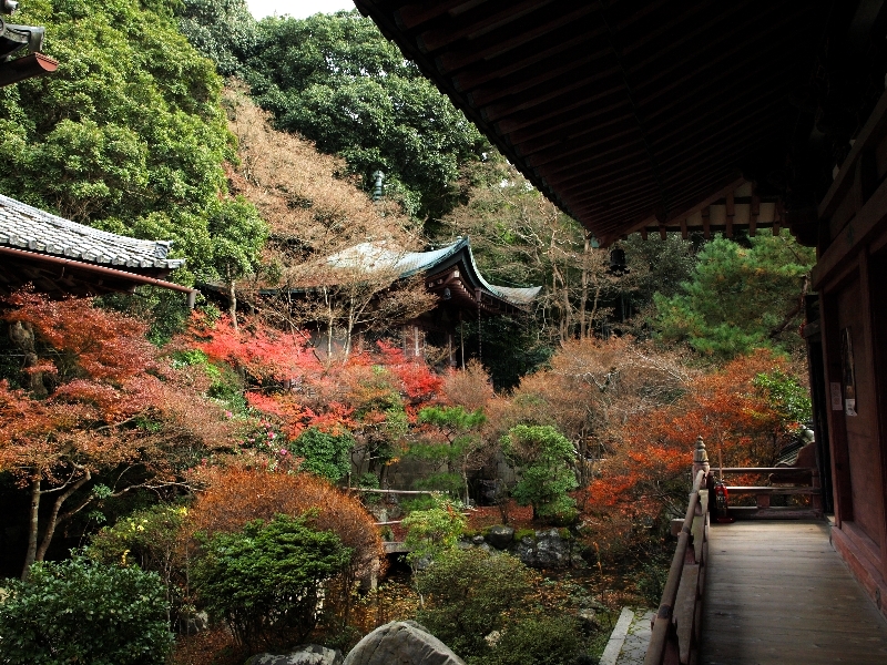 2012年の京都の紅葉プランは練りましたか?「毘沙門堂」の紅葉紹介 2012年の京都の紅葉プランは練りましたか?「毘沙門堂」の紅葉紹介