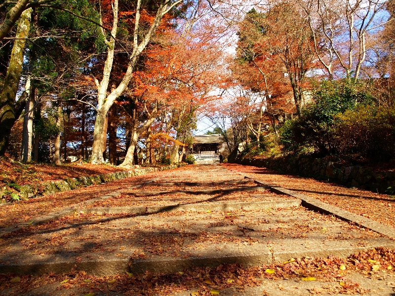 2012年の京都の紅葉プランは練りましたか？「毘沙門堂」の紅葉紹介