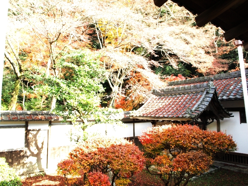 2012年の京都の紅葉プランは練りましたか？「毘沙門堂」の紅葉紹介
