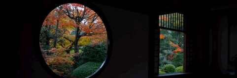 京都の四季を感じる：紅葉