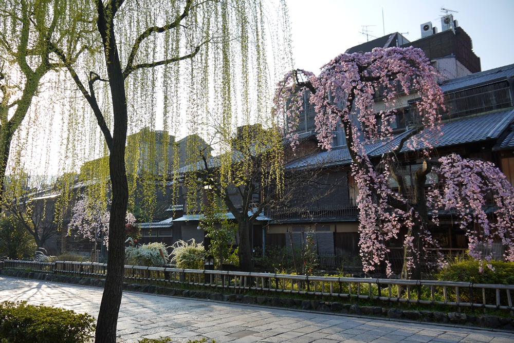 祇園白川・辰巳大明神