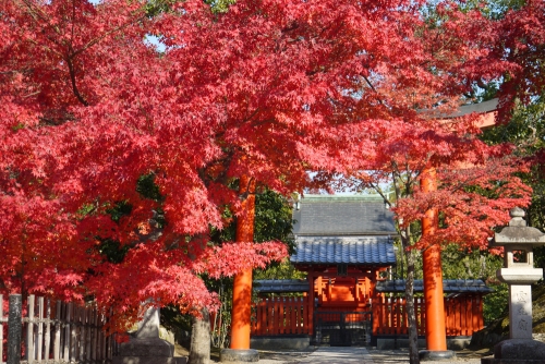 京都デザイン