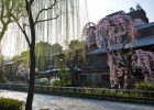 祇園白川・辰巳大明神