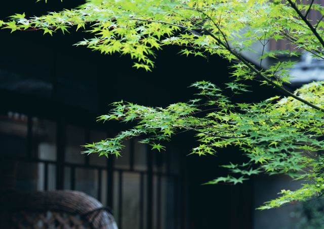 京都デザイン.com 京都デザイン.com