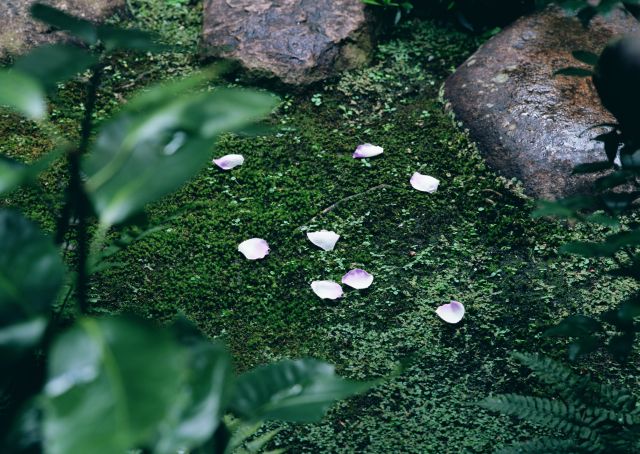 京都デザイン.com 京都デザイン.com