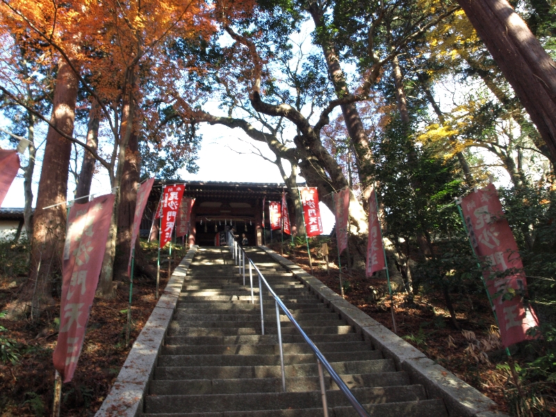 2012年の京都の紅葉プランは練りましたか？「毘沙門堂」の紅葉紹介