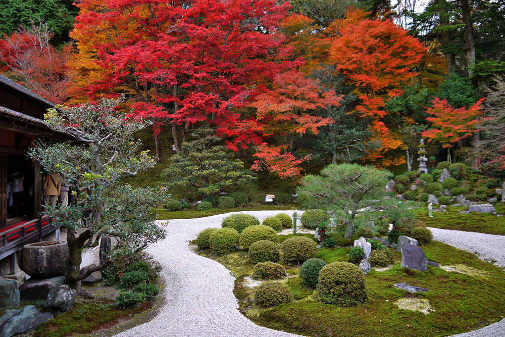 秋の京都の紅葉