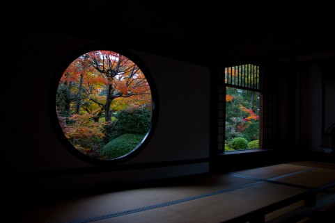 京都旅行　11月